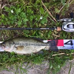 旧吉にてナイスサイズ