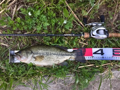 旧吉にてナイスサイズ