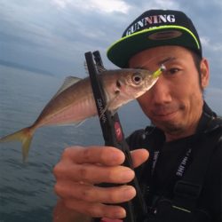 夕まずめアジングゲーム☆GUNNING-STYLE