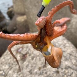 賑やか海から、一転して。