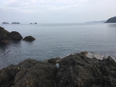 カンパチ25.5センチ