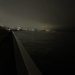 今年初のケンサキGET (^.^)