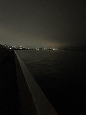 今年初のケンサキGET (^.^)