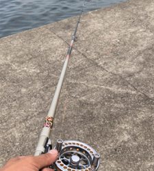 落とし込み特訓