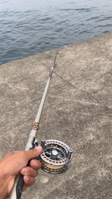 落とし込み特訓