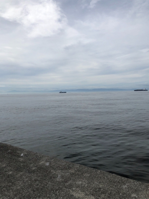 ハマチを狙いに！