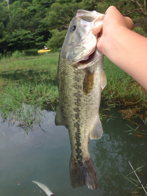 去年より渋くなった！？
