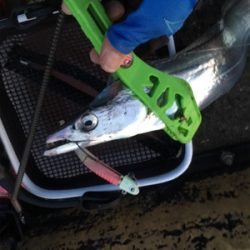 リベンジ！半年ぶり！！自己記録更新！！！