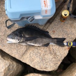 いい濁りで高活性！