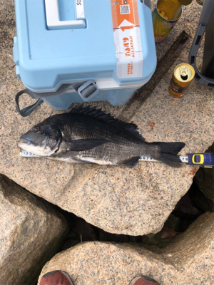 いい濁りで高活性！