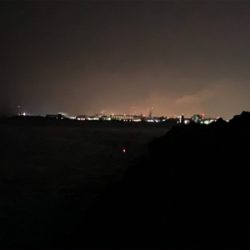 アジが釣れず、メバルが釣れた!