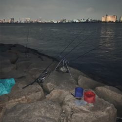 夕まづめにぶっ込み釣り