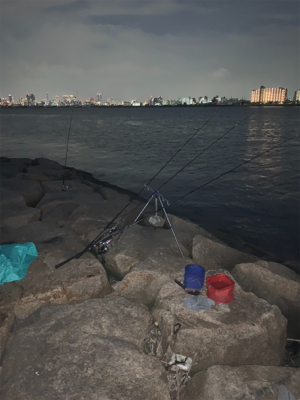 夕まづめにぶっ込み釣り