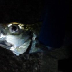 台風が近づく前に