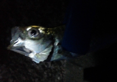 台風が近づく前に