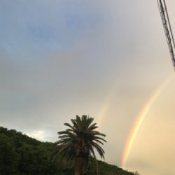 サビキは良く釣れます^ ^