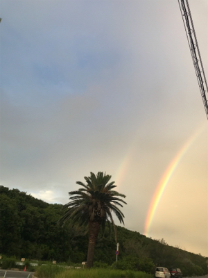 サビキは良く釣れます^ ^