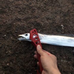 一瞬の時合とマッチザベイト