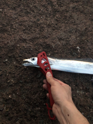 一瞬の時合とマッチザベイト