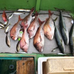 孝洋丸 落とし込み