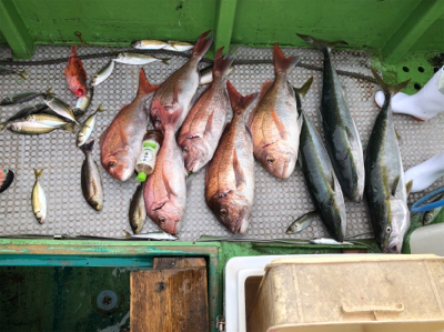 孝洋丸 落とし込み