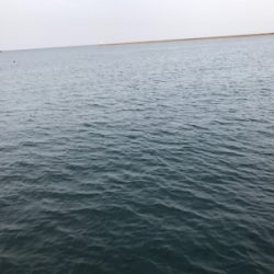 ツバス！！！！