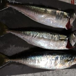 お暇だったので