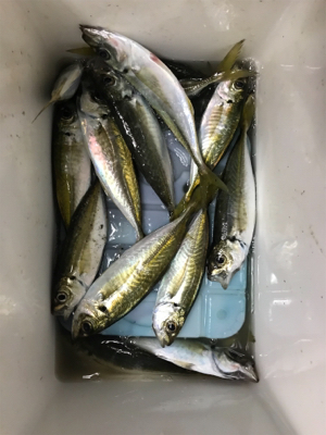 パターン分からず…