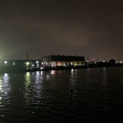 もうすぐ、ケンサキイカ⁈