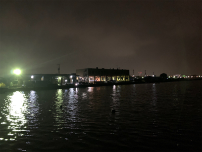 もうすぐ、ケンサキイカ⁈