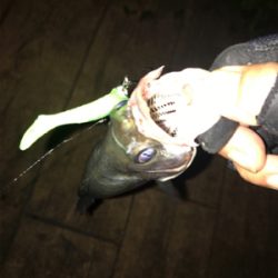 チーバス続き（笑）