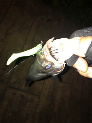 チーバス続き（笑）