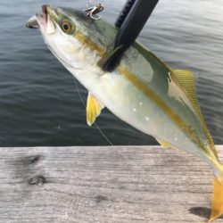 ダブルヘッダーで…