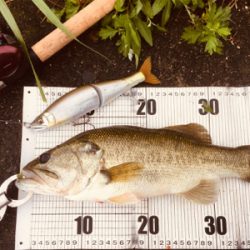 ジョイクロマグナム!!!!