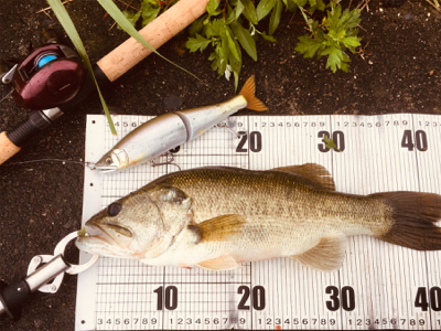 ジョイクロマグナム!!!!