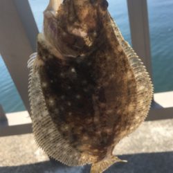 ソフトルアー満喫♪