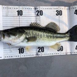 台風後の七色ダム