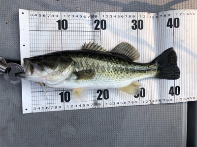 台風後の七色ダム