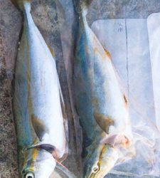 久しぶりの空港