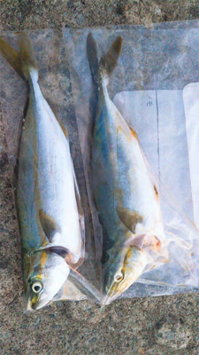 久しぶりの空港