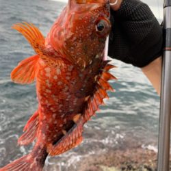 対馬ショアジギング