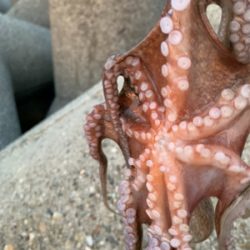 仕事帰り何とか。