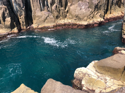 マルヒサ渡船上物釣り