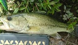 クランクで初バス