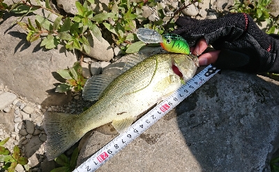 またもやクランク