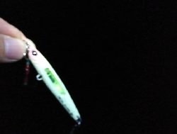 大サバ。穴開きの例のジグで。