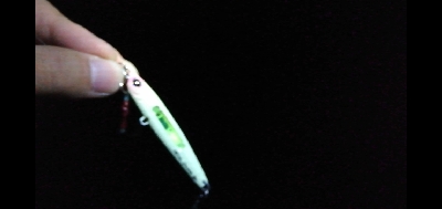 大サバ。穴開きの例のジグで。