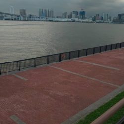 記録更新　豊洲ぐるり公園