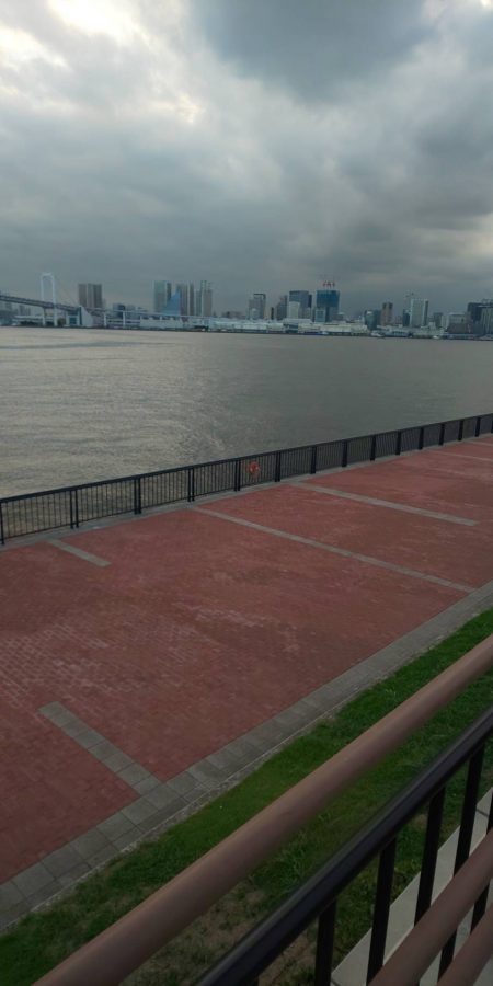 記録更新　豊洲ぐるり公園