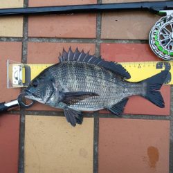 短時間にて　～辰巳一付近～